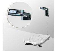 Весы напольные с печатью этикеток Масса-К TB-S-200.2-RL1