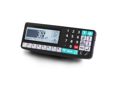 Весы напольные Масса-К TB-S-32.2-RA2